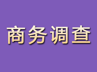 平坝商务调查